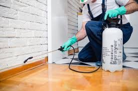 Best Fumigation Services  in Horseshoe Bay, TX